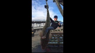 Shellharbour NSW Flathead fishing 1592019 [upl. by Kcirdneh]