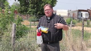 Gardening basics How to control bindweed in flower beds [upl. by Malena892]