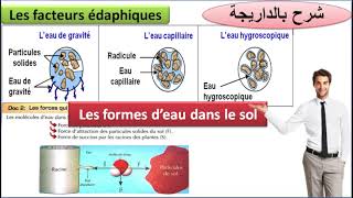 Les formes deau dans le sol TCSF les facteurs édaphiques شرح بالداريجة [upl. by Otrebcire]