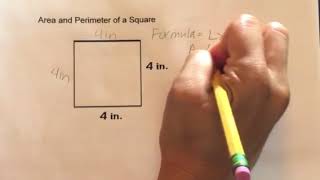 How to find the Area and Perimeter of a Square [upl. by Sheryle403]