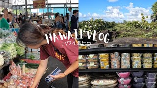 HAWAII VLOG EP7 ハワイ島ヒロで過ごす最後の10日間 Part1  ゆったり過ごす日常  ファーマーズマーケット夕方のピクニック [upl. by Chucho]