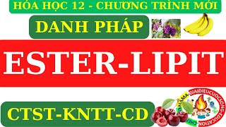 HÓA 12 MỚI  ESTER  LIPIT  GỌI TÊN CÁC CHẤT TRONG SGK CTSTKNTTCÁNH DIỀU CHƯƠNG TRÌNH MỚI [upl. by Anilag734]