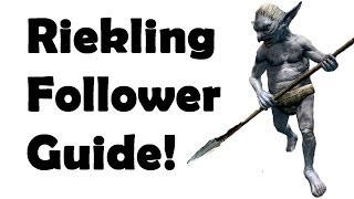 Skyrim How to get the Best Pet Follower Best Quest Series [upl. by Leruj563]