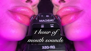 INSANE TASCAM MOUTH SOUNDS [upl. by Athey]