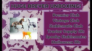 HUGE Breyer Horse Unboxing So many models [upl. by Alexandria]