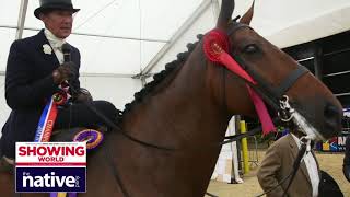 Ladies Side Saddle Champion  Time 2 Reflect [upl. by Enyawd874]