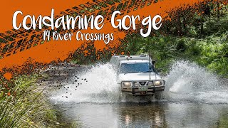 CONDAMINE GORGE 4WD TRACK 14 RIVER CROSSINGS [upl. by Skippie]