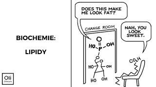 Lipidy  biochemie [upl. by Federica]