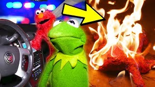 Elmo and Kermit The Frogs NEW YEARS COMPILATION 2020 FUNNIEST MOMENTS [upl. by Arnold]