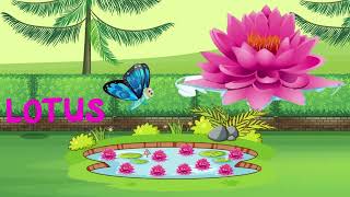 Flower Name Learning  Learn Flowers Name  Kids Learning  Nursery  Name of Flowers [upl. by Misty]