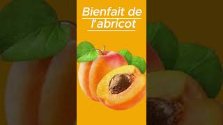 BIENFAIT DE LABRICOT fruitcutting science food [upl. by Acissaj548]