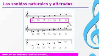 Curso de música  Las notas y sonidos musicales [upl. by Yahs447]