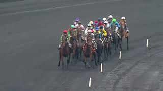 PRIX DE CORNULIER 2024  CORNULIER RACES  La course [upl. by Amador]