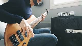 PLEASURE  quotUniversalquot 1979 Bass Cover [upl. by Ataynik568]