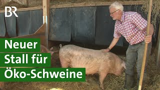 Innovativer TierwohlSchweinestall für ÖkoSchweine nach Stallbrand  Schwein Doku  Unser Land  BR [upl. by Charles632]