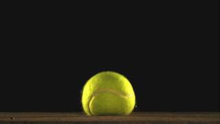 The Beauty of Slow Motion  Tennis Ball Bounce [upl. by Russ]