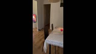 Room for rent in shared apartment in el Raval Barcelona  Spotahome ref 1083488 [upl. by Nyltiak889]