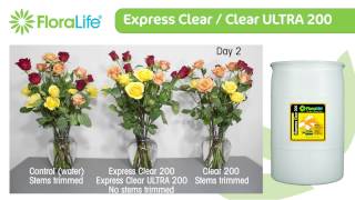 Floralife Express Clear  Clear ULTRA 200 [upl. by Sarad]