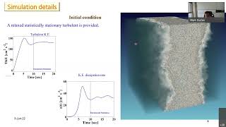 Cloud microphysics Turbulence and Direct Numerical Simulation DNS An overview [upl. by Demmahum]