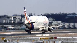 Airbus Industrie Beluga Airbus A300B4608ST FGSTD landing at Finkenwerder 04022012 [upl. by Saxela]