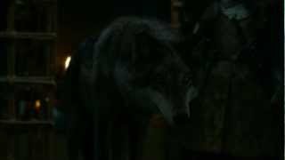 Game of Thrones Season 2 Direwolf Robb Stark vs Jaime Lannister HD [upl. by Ardnoyek]