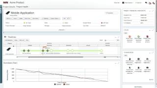 Clarizen Custom Panels Tutorial [upl. by Lletnuahs]