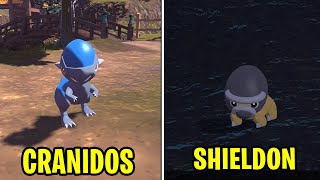 como CAPTURAR a CRANIDOS y SHIELDON en POKEMON LEGENDS ARCEUS LOCALIZACION FOSILES [upl. by Allekim]