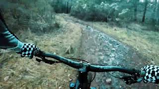 Annadel MTB Two Quarry trail fast in the wet [upl. by Iahs]