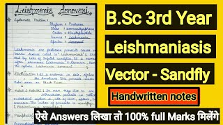 Leishmania donovani  Protozoan parasite Leishmaniasi  kalaazar Bsc 3rd year zoologyBlack fever [upl. by Ethelind]