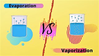 What Is The Difference Between Vaporization And Evaporization Differenceit [upl. by Slater]