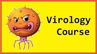 Viral Protein Synthesis ☆ Virology Course ☆ Virus Lecture 10 [upl. by Eimme]