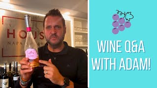 Adam Answers Your Wine Questions  The Housley Life [upl. by Ewolram282]