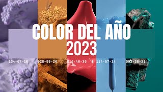 Colores en Tendencia para el Año 2023 COLOR DEL AÑO 2023  Color en el Diseño Interior [upl. by Anastos]