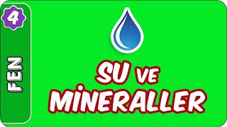 Su ve Mineraller  4 Sınıf Fen evokul Kampı [upl. by Ilona873]