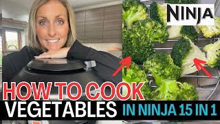 HOW TO Cook Vegetables in NINJA FOODI MAX 15 in 1  Tender al dente Vegetables with vibrant colour [upl. by Colner]