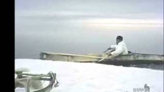 Alaskan seal hunter uses umiak sea kayak to retrieve prey [upl. by Alfreda]