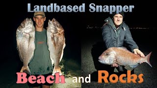 Landbased Snapper from the Beach and Rocks  Everything You Need to Know [upl. by Casia647]