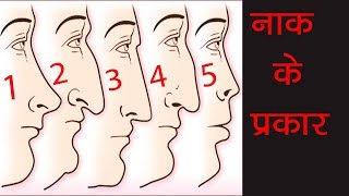 नाक के प्रकार  नाक आपके बारे में बहुत कुछ कहता है  Various Personality Test and Studies [upl. by Raynold]