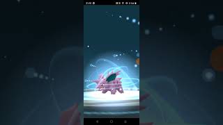 Nidorino evolved pokemongo [upl. by Introc]