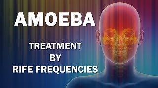 Amoeba Genus  RIFE Frequencies Treatment  Energy amp Quantum Medicine with Bioresonance [upl. by Editha]