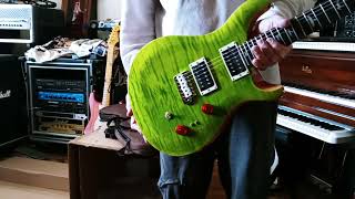 PRS Eriza Verde SE 24 Custom Unboxing [upl. by Aleb]