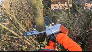 Démontage et abattages dun arbre lancer les rondins perfection [upl. by Isadore174]