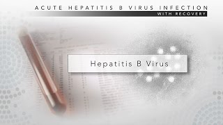 Hepatitis B CDC Viral Hepatitis Serology Training [upl. by Anaxor]