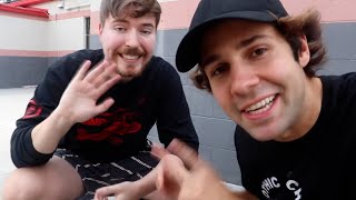 DAVID DOBRIK BEST MOMENTS Part 30 [upl. by Ricoriki]