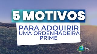 Ordenhadeira 5 motivos para comprar uma Ordenhadeira Prime [upl. by Anayek]