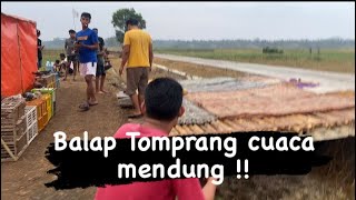 Mendung” race balap Tomprang  lombamerpatibalapsprint merpati [upl. by Eiclehc212]