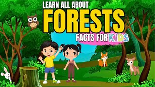 Learn All About Forest Facts For Kids [upl. by Ivory]