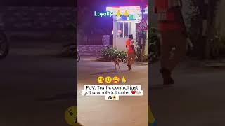 World best loyal animals ❤️🤩funny rahulpets funnypets doglover shortsfeed [upl. by Tebasile]