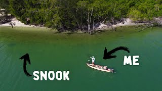 Sight Fishing Florida SNOOK from my Gheenoe [upl. by Leanna]