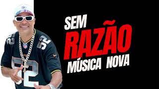 SEM RAZÃO DJ MARCILIO MÚSICA NOVA 2024 [upl. by Ailerua969]